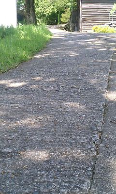 b0051713_15535710.jpg