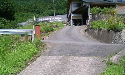 b0051713_15544471.jpg