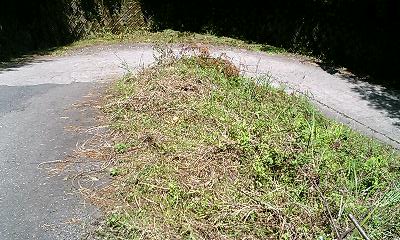 b0051713_15595688.jpg
