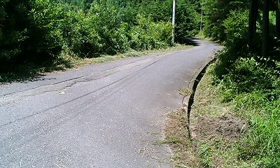 b0051713_1605661.jpg