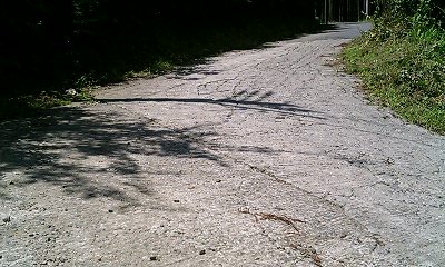 b0051713_1623191.jpg