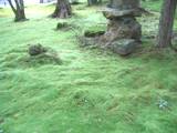 d0004214_22172722.jpg
