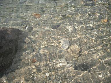 c0005619_23335282.jpg