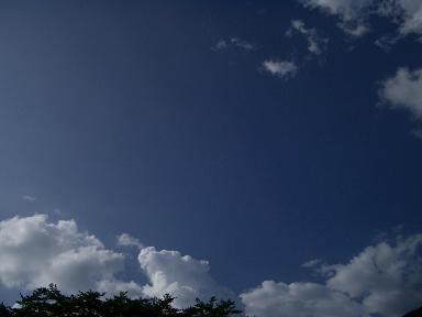 c0005619_23422522.jpg