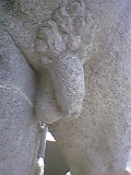 b0060945_10334177.jpg