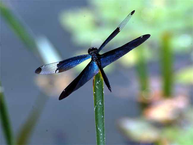d0009773_21313498.jpg