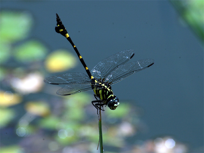 d0009773_21322031.jpg