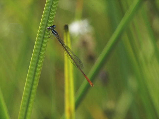 d0009773_21361544.jpg