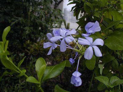 d0016179_21194862.jpg