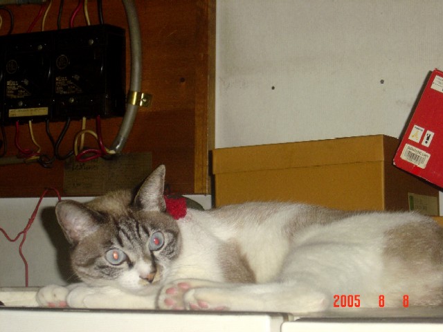 a0005691_21314583.jpg