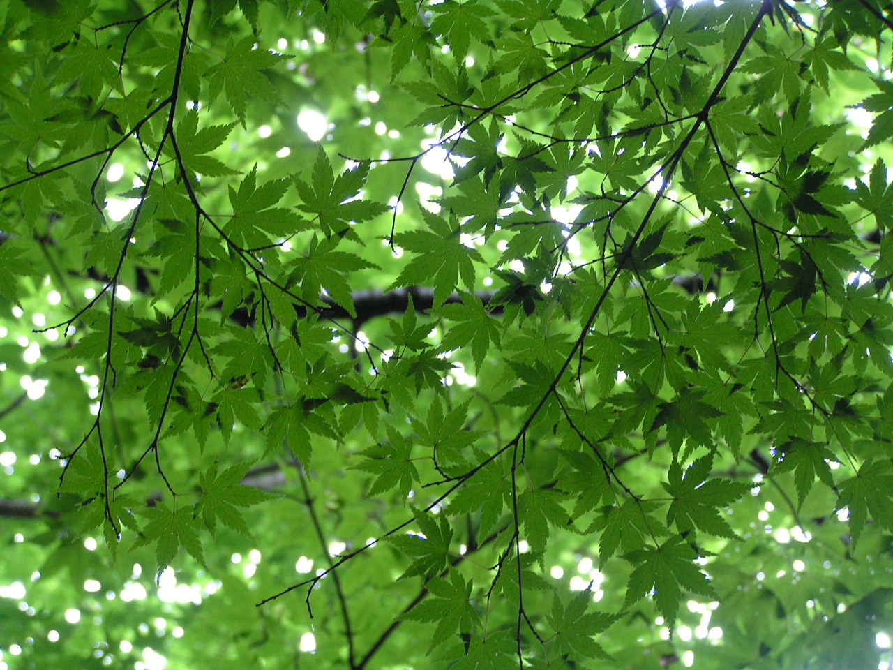 c0034595_23414334.jpg