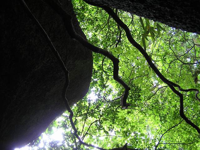 c0034595_23481873.jpg