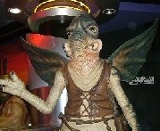 e0007801_24176.jpg