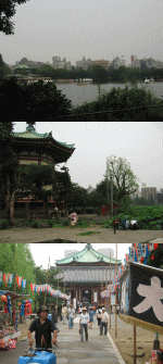 d0014408_14134617.gif