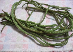 d0066133_22301399.jpg