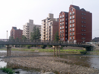 d0022345_2383551.jpg