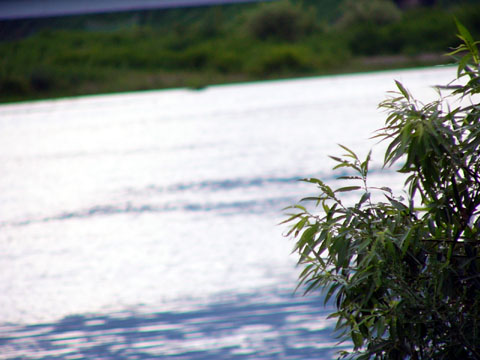 a0024250_2361864.jpg