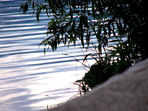 a0024250_2365549.jpg