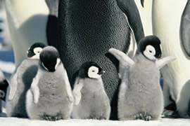 c0004750_22284519.jpg