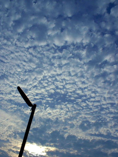 b0015260_12482927.jpg