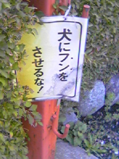 b0024266_1910498.jpg