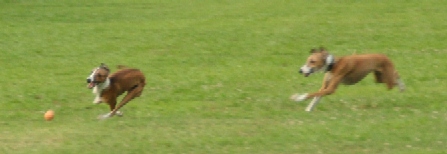 b0069169_0195363.jpg