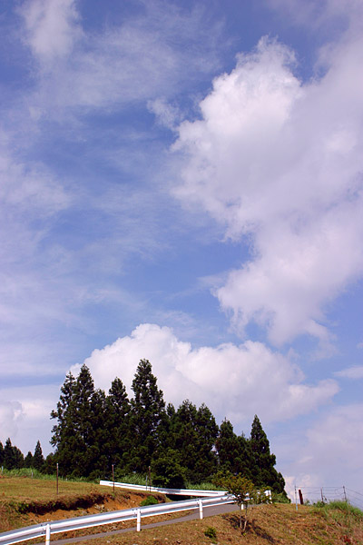 c0038290_1829388.jpg