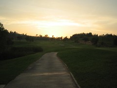 b0043897_90684.jpg