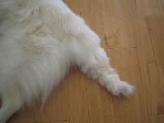 b0043897_94439.jpg
