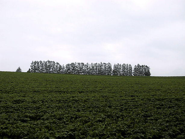 a0006605_22531722.gif