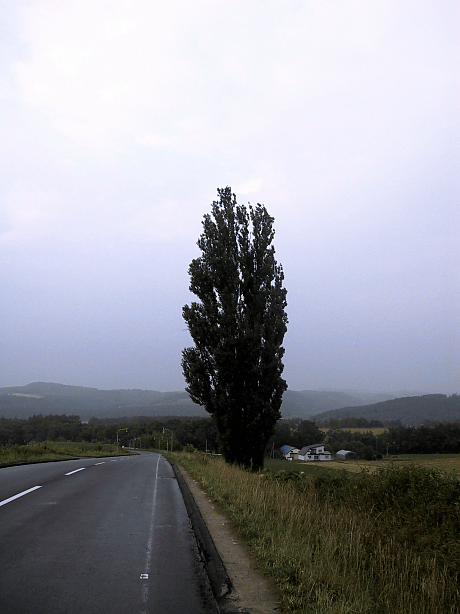 a0006605_2255412.gif