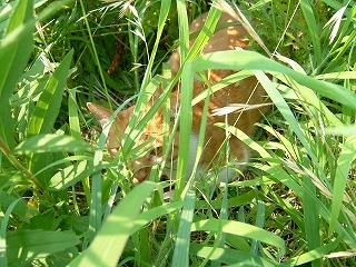 a0034419_11392879.jpg