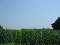 a0034438_1442727.jpg