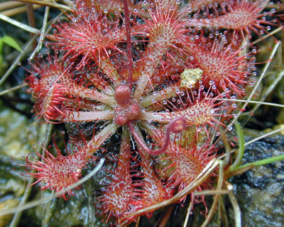 e0035757_0314498.jpg