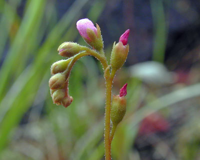 e0035757_0345867.jpg