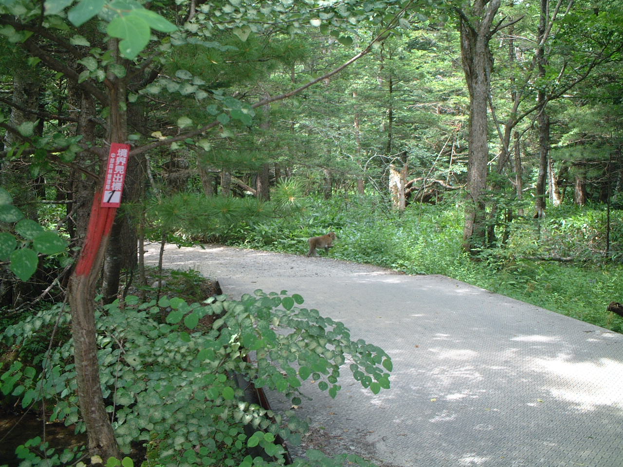 d0063563_22195818.jpg