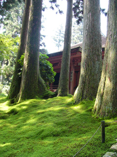 b0014587_012282.jpg