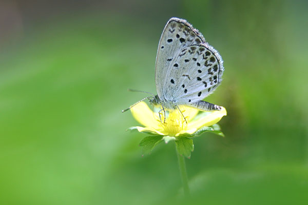 c0038290_614216.jpg