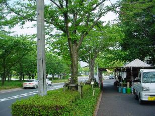 d0064990_2002473.jpg