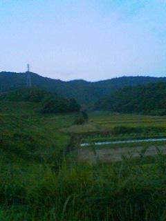 e0038192_752204.jpg