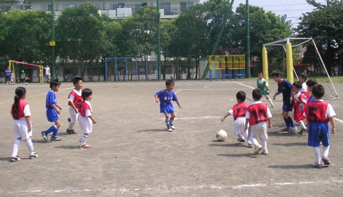 b0005596_61399.jpg