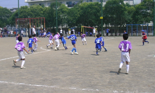 b0005596_615686.jpg
