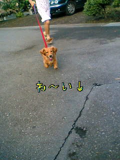 d0046905_23383860.jpg