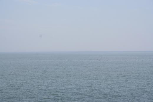 d0065913_9311125.jpg