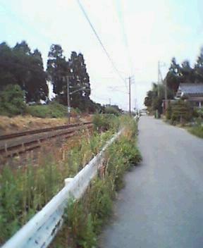d0059116_13212048.jpg