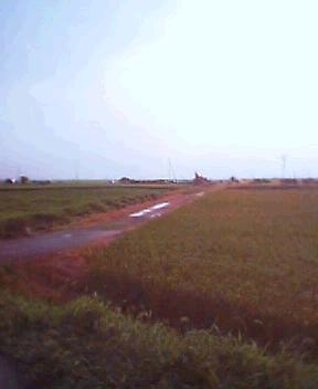 d0059116_13215892.jpg