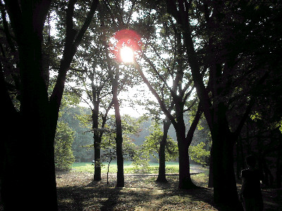 d0002224_22333429.jpg
