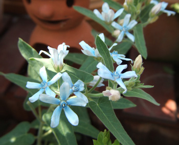c0048042_2361440.jpg