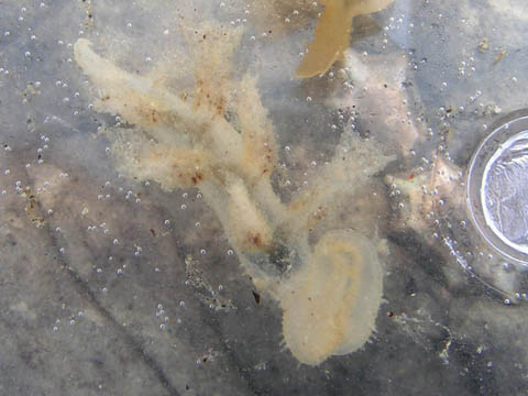 e0041143_2192373.jpg