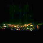 b0039246_11593817.jpg